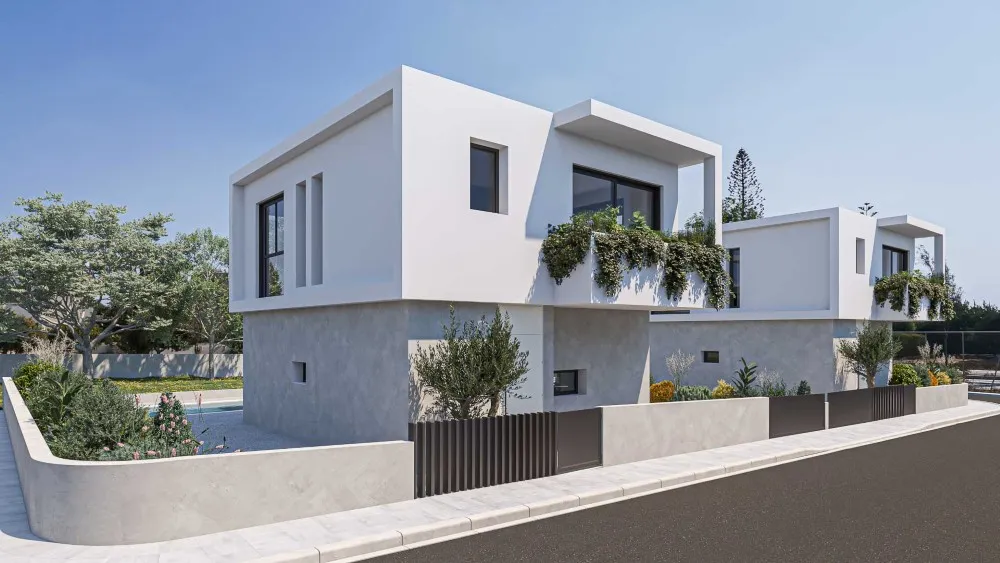 OLIVIA TYPE A 3D PICTURE (5)_result